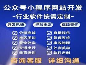 吐鲁番网站开发